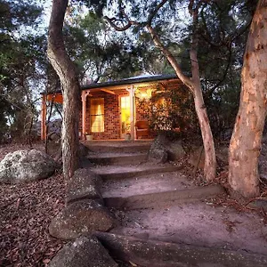 Honeysuckle , Stanthorpe Australia
